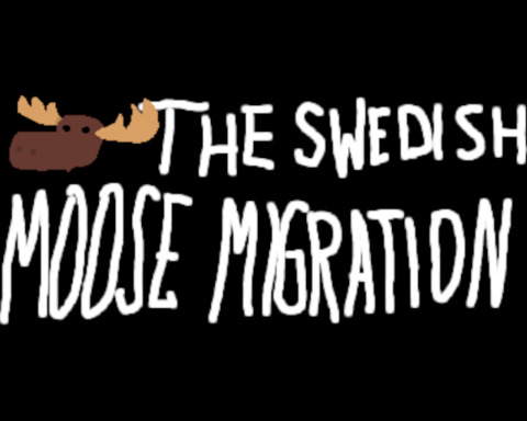 The Swedish Moose Migration