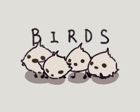 Birds - Limited Space