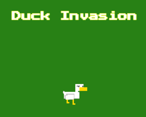 Duck Invasion