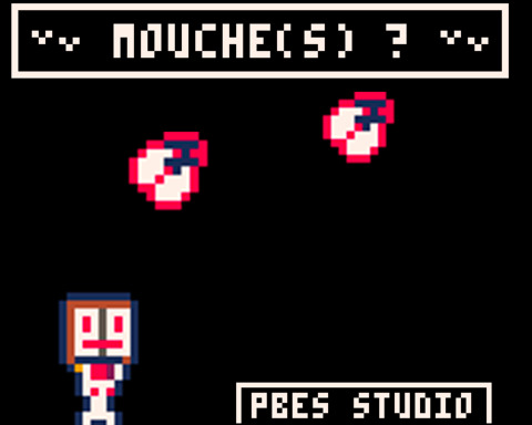 mouche(s)?