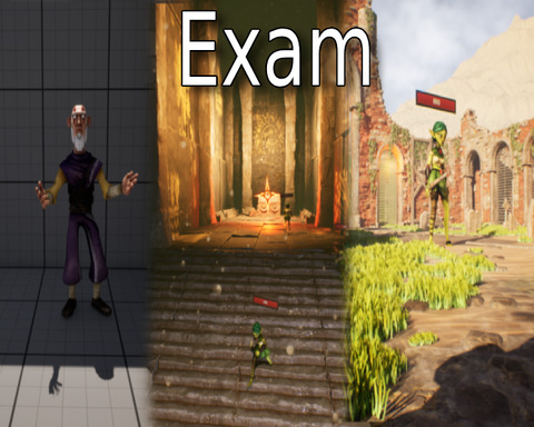 Exam