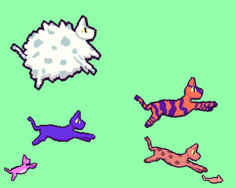 Cat-o-Conjurer