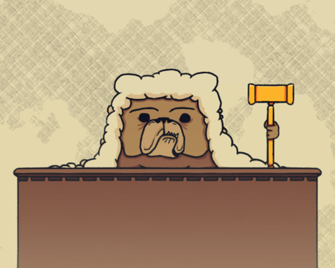Voir Dire