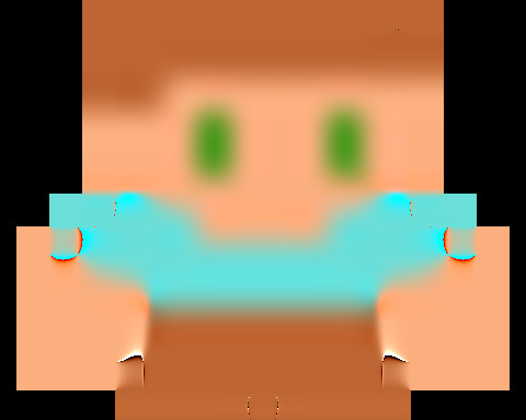 The sumoner