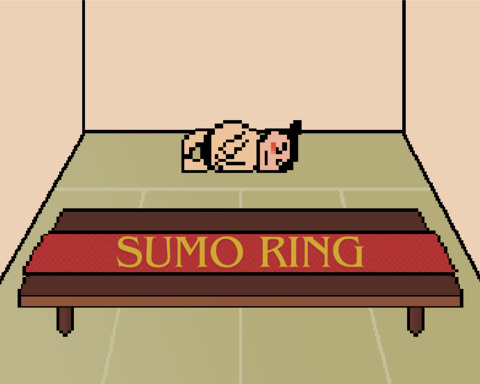 Sumo Ring