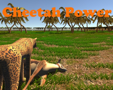 Cheetah Power