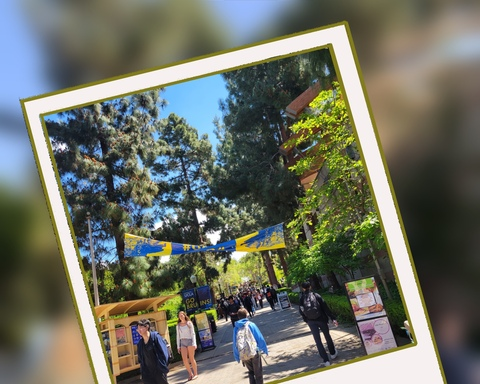 BruinWalk