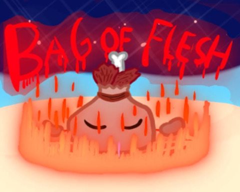 BAG OF FLESH