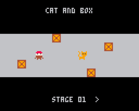 Cat and Box