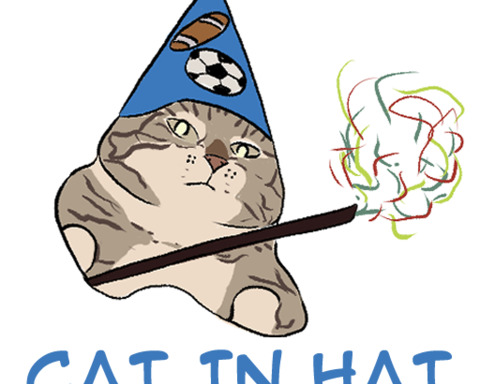 Cat In Hat