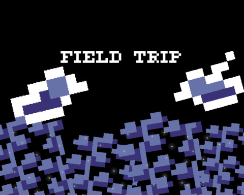 Field Trip