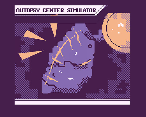 Autopsy Center Simulator