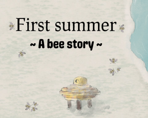 First summer - a bee story