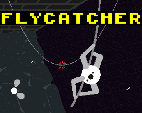 Flycatcher
