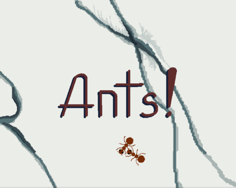 Ants!