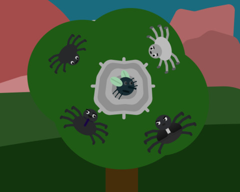 Spider Business