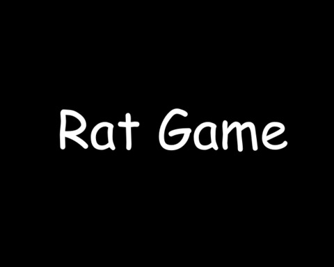 Rat Game