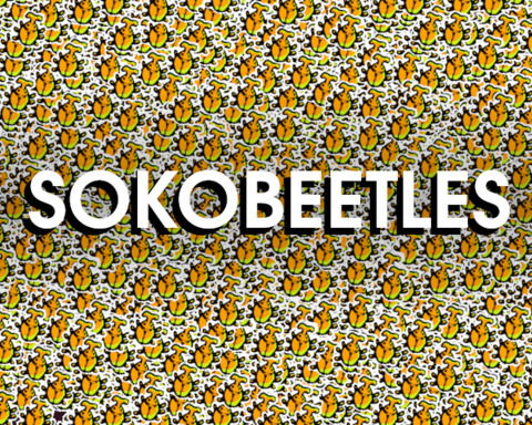 SOKOBEETLES