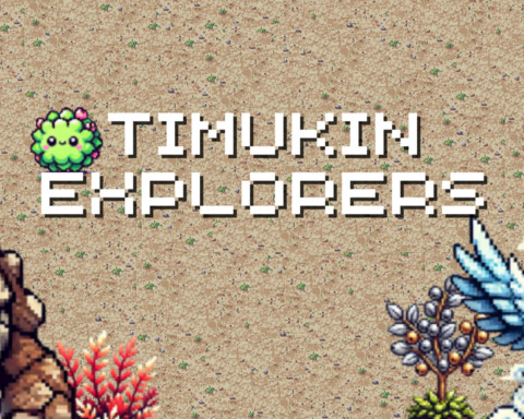 Timukin Explorers