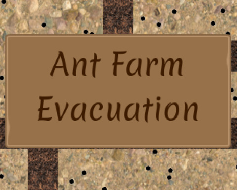 Ant Farm Evacuation