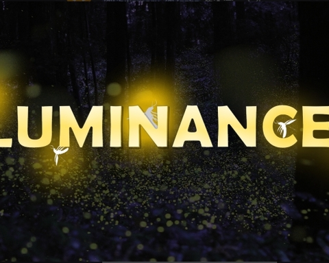 Luminance