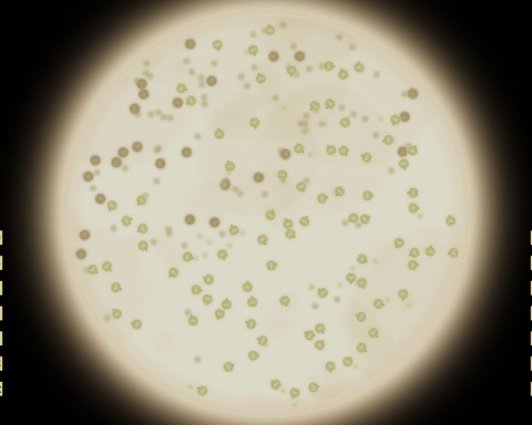 Microdominion