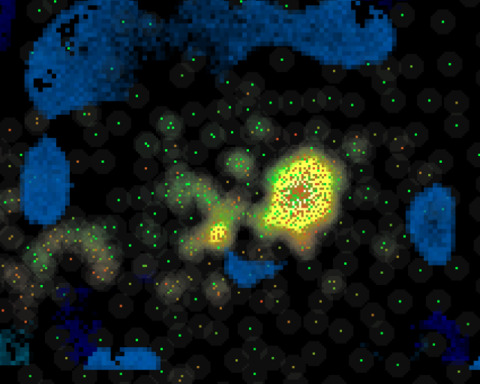 Swarmcore