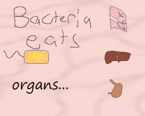 Bacteria Empower