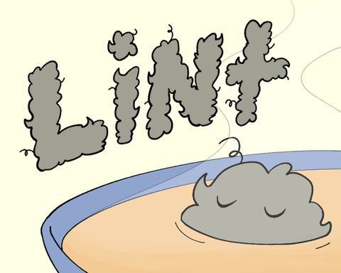 Lint