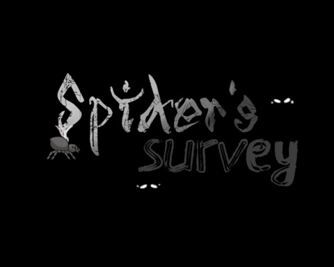Spider's survey