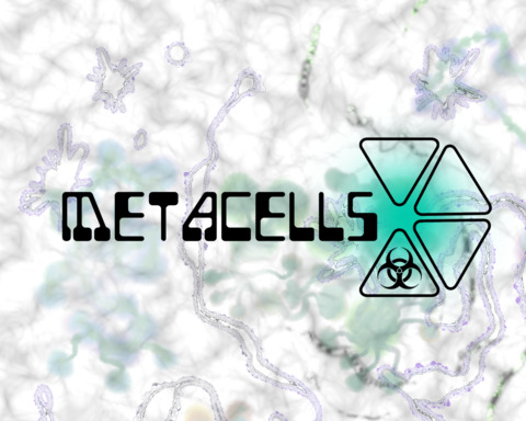 MetaCells
