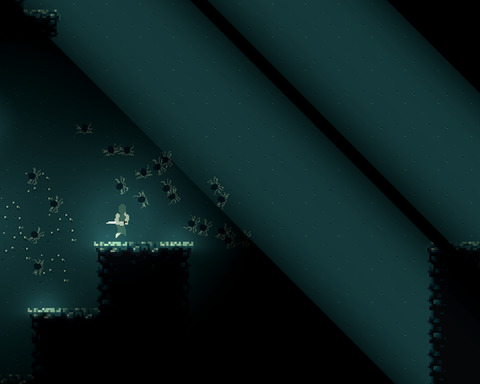 ArachnoNinja