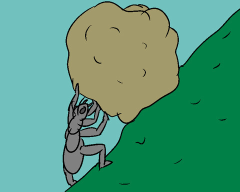 Ant-Agonism