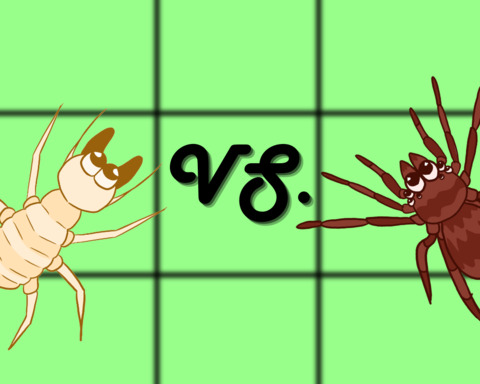 Ultimate Tic Tac Toe (Buggy Style)