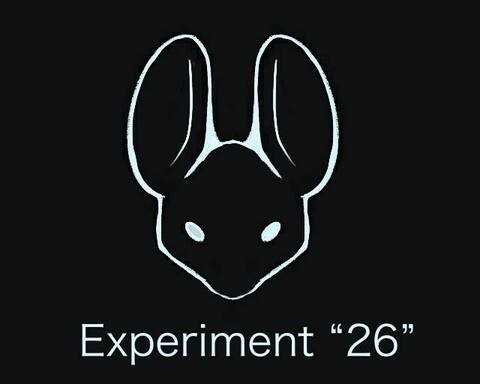 Experiment