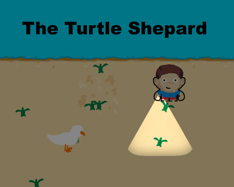 Turtle Shepard