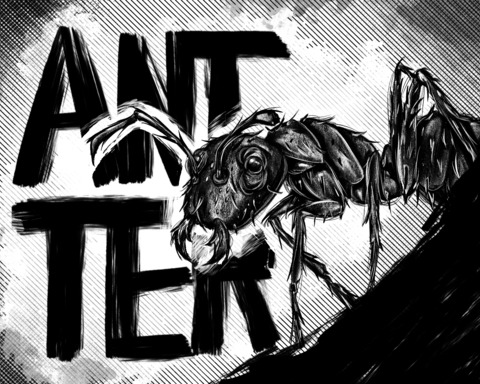 Ant Ter.