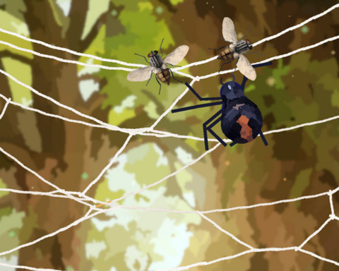 Weaver