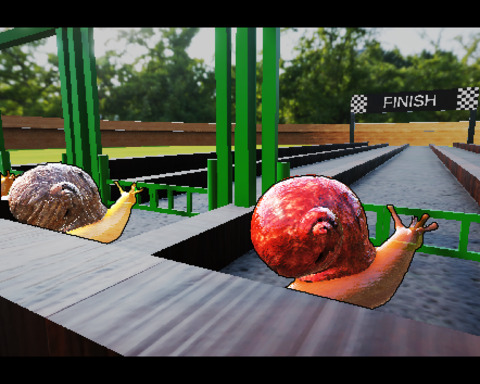 Snail Trivia Race