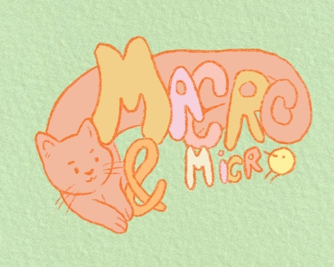 Macro & Micro