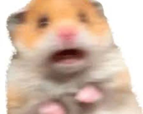Happy Hamster?