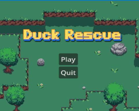 Duck Rescue