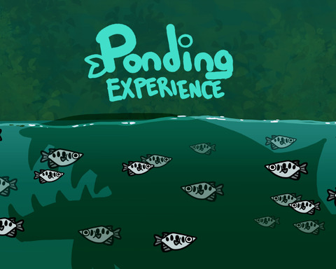 Ponding Experience