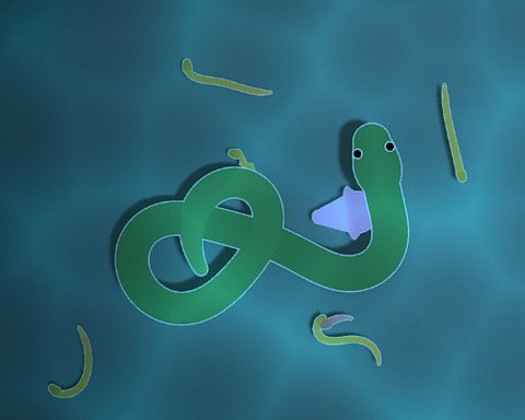 LD56 - Serpent Surge