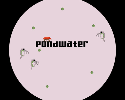 Pondwater