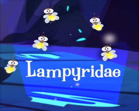 Lampyridae