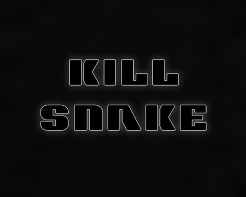 Kill Snake