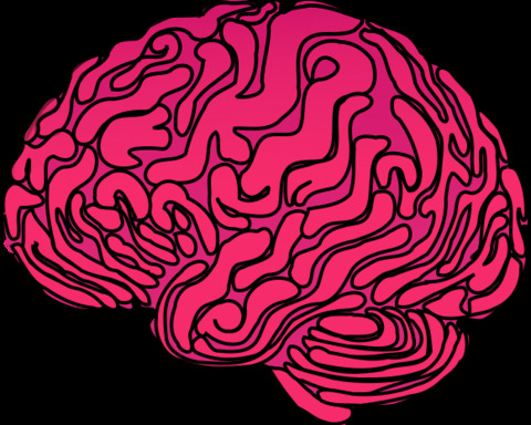 Depths of brain