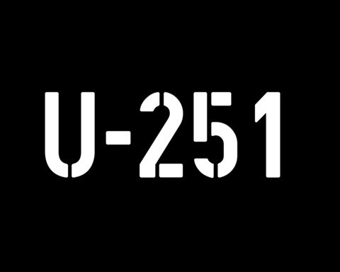 U-251