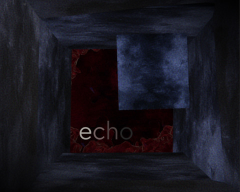 Echo